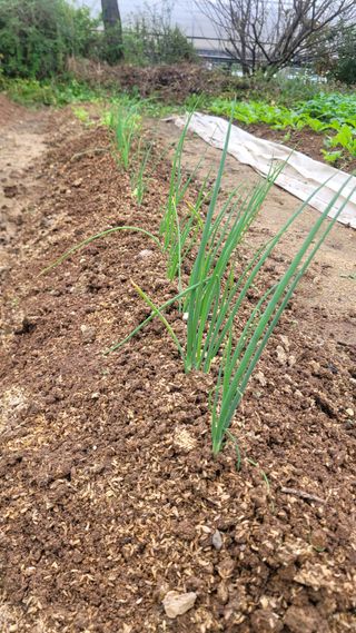 장석오님의 자유주제 · 자유게시판 작성글 사진