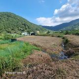 팜모닝 자유주제·자유게시판 게시글 이미지