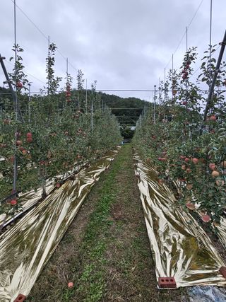 손기홍님의 자유주제 · 자유게시판 작성글 사진