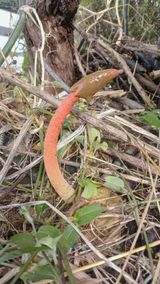 팜모닝 자유주제·자유게시판 게시글 이미지