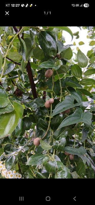 강인석님의 자유주제 · 자유게시판 작성글 사진