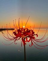 팜모닝 자유주제·자유게시판 게시글 이미지