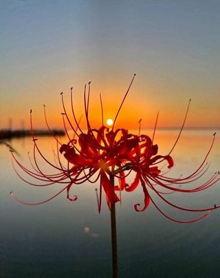 안길원님의 자유주제 · 자유게시판 작성글 사진