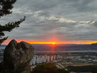 제주농부님의 자유주제 · 자유게시판 작성글 사진