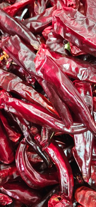 임 촌장.님의 자유주제 · 자유게시판 작성글 사진