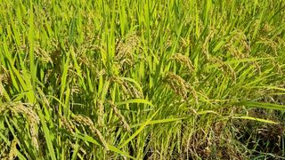 김지철님의 자유주제 · 자유게시판 작성글 사진