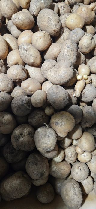 임 촌장.님의 자유주제 · 자유게시판 작성글 사진