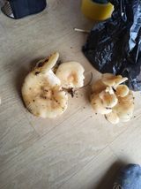 팜모닝 자유주제·자유게시판 게시글 이미지