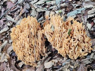 백용기님의 자유주제 · 자유게시판 작성글 사진