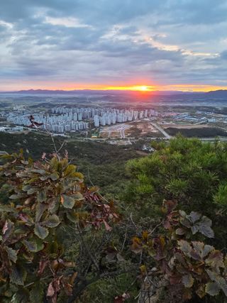 제주농부님의 자유주제 · 자유게시판 작성글 사진