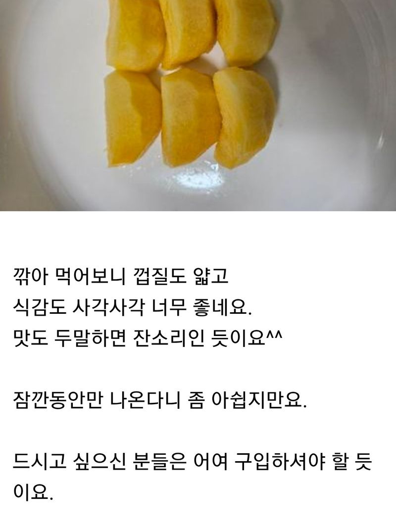 사랑꽃농장님의 장터 판매 상품 [대과)태추 단감2.5kg(9과 내외)] 첨부 사진