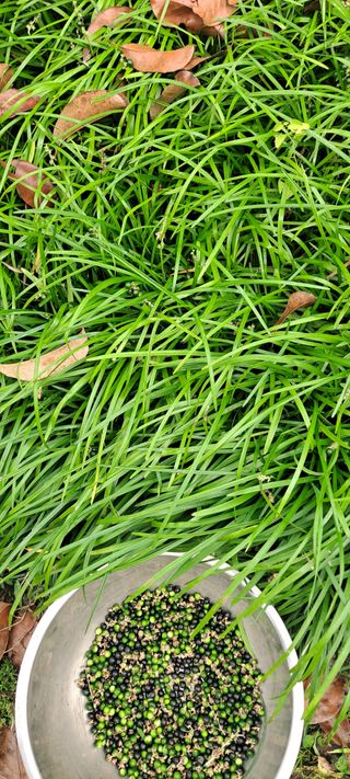 백순분님의 작성글 사진