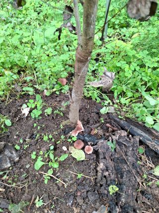 박정미님의 자유주제 · 자유게시판 작성글 사진