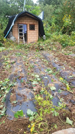 장석오님의 자유주제 · 자유게시판 작성글 사진