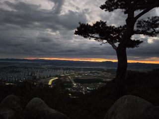 제주농부님의 자유주제 · 자유게시판 작성글 사진