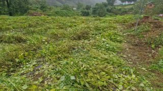 정석구님의 자유주제 · 자유게시판 작성글 사진