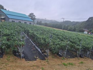 손동현님의 자유주제 · 자유게시판 작성글 사진