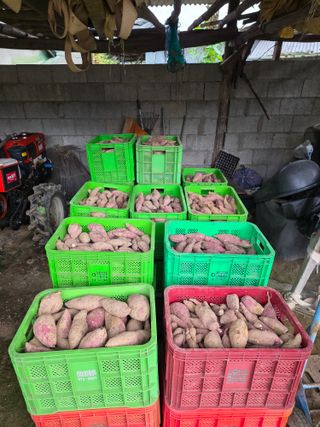 동부0079님의 자유주제 · 자유게시판 작성글 사진