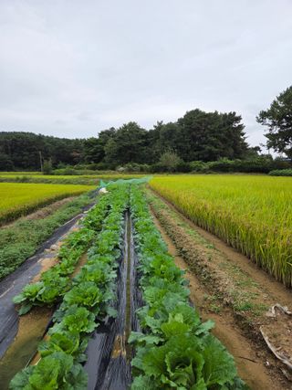 백현호님의 작성글 사진