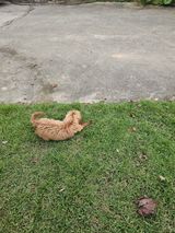 팜모닝 자유주제·자유게시판 게시글 이미지