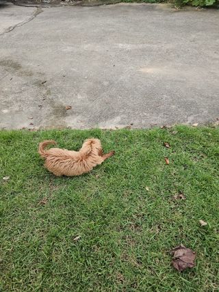 삼서면님의 자유주제 · 자유게시판 작성글 사진