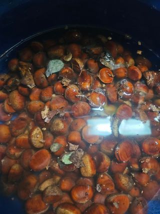 farmer님의 자유주제 · 자유게시판 작성글 사진