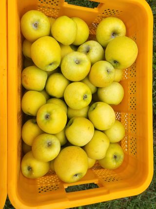 하늘아래사과나무님의 작성글 사진