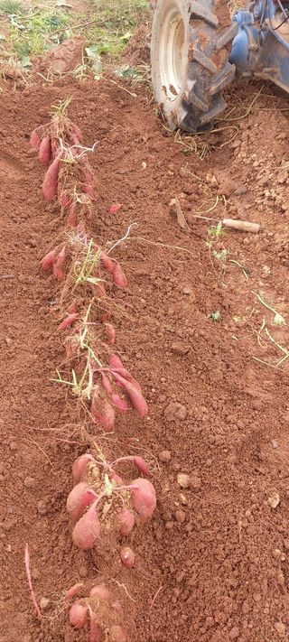 남서울님의 자유주제 · 자유게시판 작성글 사진