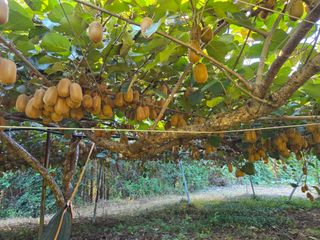 노고단님의 자유주제 · 자유게시판 작성글 사진