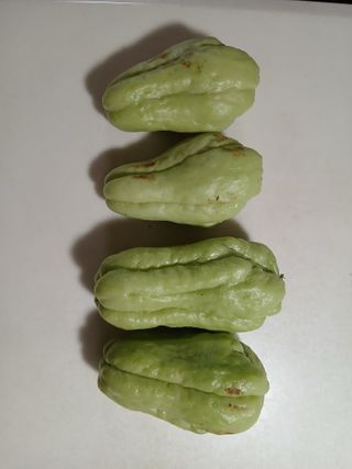 김형일님의 자유주제 · 자유게시판 작성글 사진