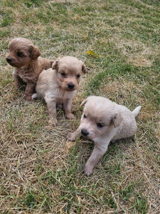 삼서면님의 자유주제 · 자유게시판 작성글 사진