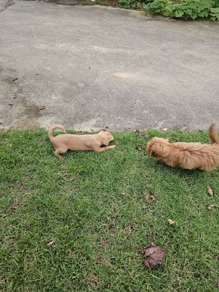 삼서면님의 자유주제 · 자유게시판 작성글 사진