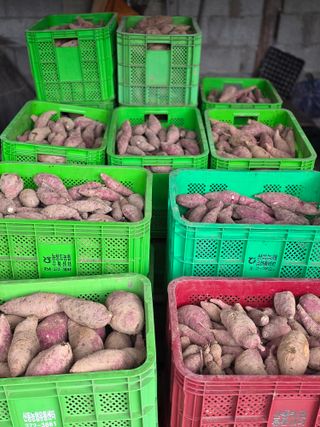 동부0079님의 자유주제 · 자유게시판 작성글 사진