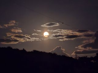 정광일님의 자유주제 · 자유게시판 작성글 사진