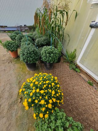 양철주님의 자유주제 · 자유게시판 작성글 사진