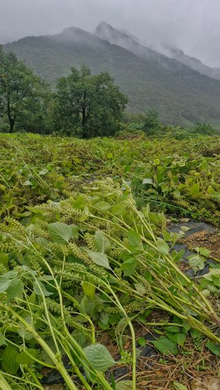 정석구님의 자유주제 · 자유게시판 작성글 사진