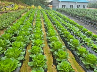 손동현님의 자유주제 · 자유게시판 작성글 사진