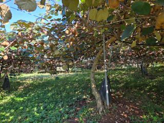 노고단님의 자유주제 · 자유게시판 작성글 사진