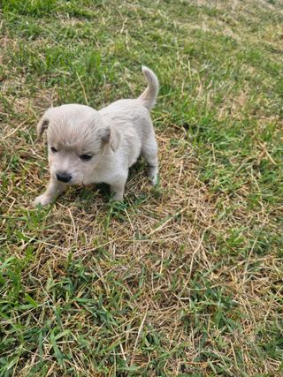 삼서면님의 자유주제 · 자유게시판 작성글 사진
