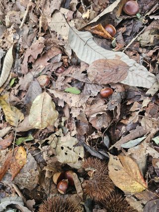 farmer님의 자유주제 · 자유게시판 작성글 사진