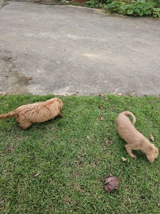 삼서면님의 자유주제 · 자유게시판 작성글 사진