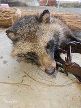 팜모닝 자유주제·자유게시판 게시글 이미지