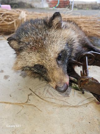 흥부네땅님의 자유주제 · 자유게시판 작성글 사진