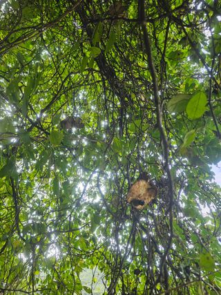 farmer님의 자유주제 · 자유게시판 작성글 사진