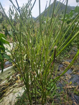 farmer님의 자유주제 · 자유게시판 작성글 사진