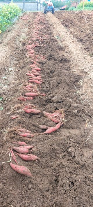 남서울님의 자유주제 · 자유게시판 작성글 사진