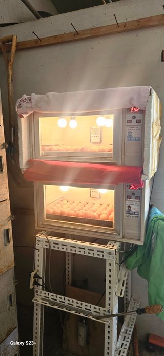 최갑수 님의 자유주제 · 자유게시판 작성글 사진