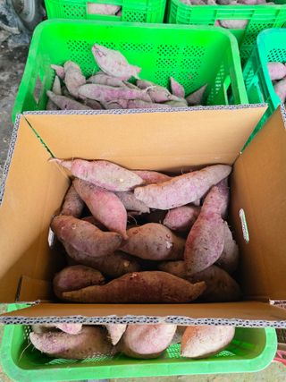 동부0079님의 자유주제 · 자유게시판 작성글 사진