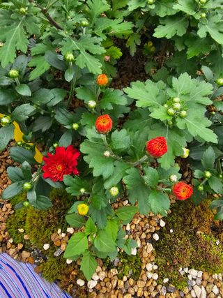 양철주님의 자유주제 · 자유게시판 작성글 사진