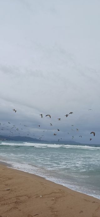 초보퍼머5도2촌준비님의 자유주제 · 자유게시판 작성글 사진